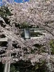 菊池神社(熊本県)