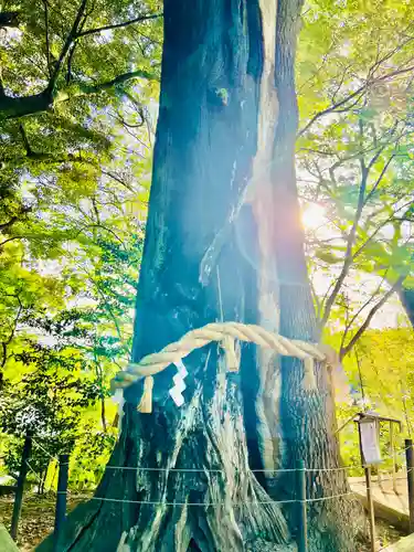 常陸國總社宮(茨城県)