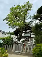 誉田八幡宮(大阪府)