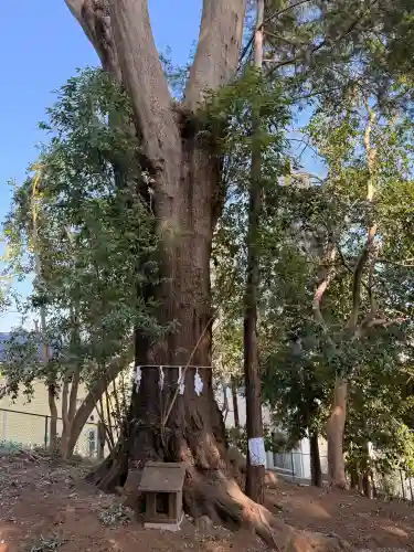 春日神社の{uncategorized: "未分類", other: "その他", undefined: "問題あり", building: "その他建物", grave: "お墓", sacred_gate: "鳥居", guardian: "狛犬", statue: "像", buddha: "仏像", history: "歴史", nature: "自然", garden: "庭園", animal: "動物", pagoda: "塔", temizu: "手水舎", mountain_gate: "山門・神門", sanctuary: "本殿・本堂", subordinate: "末社・摂社", art: "芸術", scenery: "景色", jizo: "地蔵", ema: "絵馬", goshuin: "御朱印", omikuji: "おみくじ", items: "授与品その他", amulet: "お守り", goshuincho: "御朱印帳", eats: "食事", festival: "お祭り", votive_dance: "神楽", shichigosan: "七五三参", wedding: "結婚式", experience: "体験その他", initially: "初詣", around: "周辺", anti_infection: "感染症対策"}