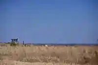 高皇産靈神社(千葉県)