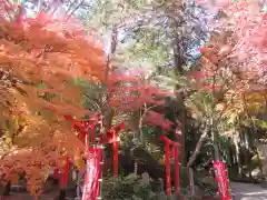 目の霊山　油山寺の鳥居