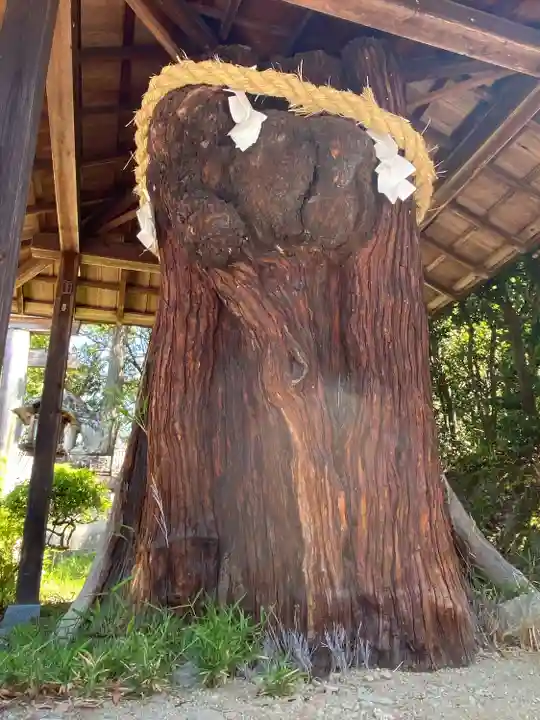 大直禰子神社(奈良県)