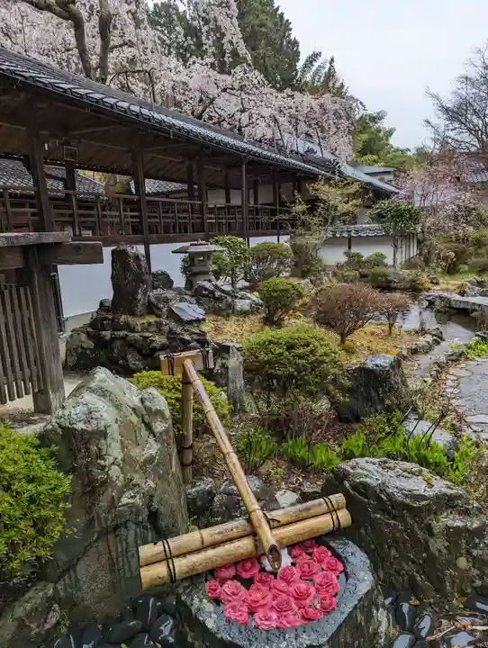 十輪寺(京都府)
