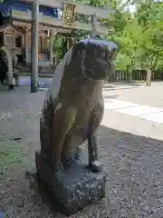 鳥屋神社の狛犬