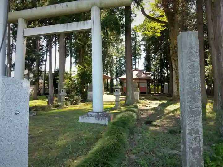 金井神社の鳥居