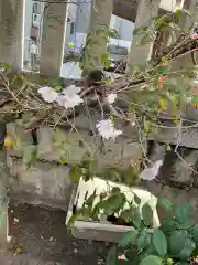 素盞男神社(愛知県)