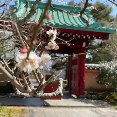 光則寺(神奈川県)