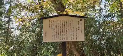 木幡山隠津島神社(二本松市)の歴史