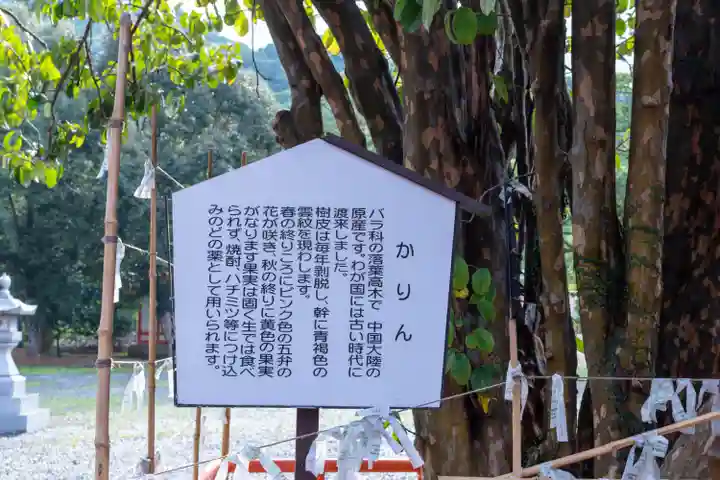 八代神社(熊本県)