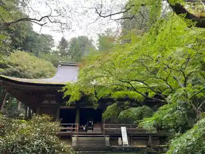 室生寺(奈良県)