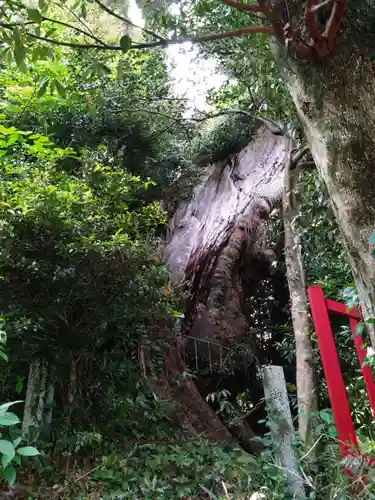 岩水寺(静岡県)