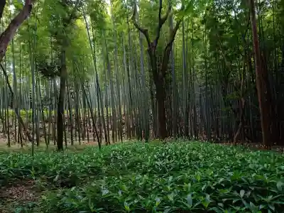 石清水八幡宮(京都府)