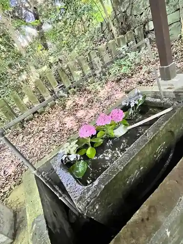 住吉神社(熊本県)