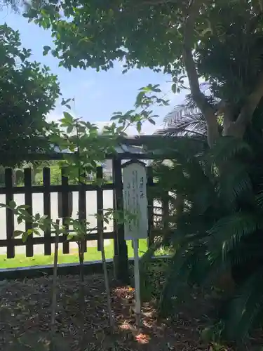 光雲神社の自然