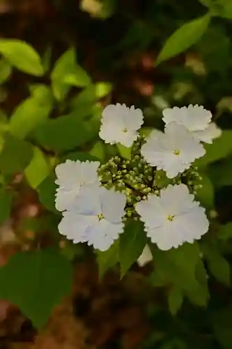 美濃輪稲荷神社(静岡県)