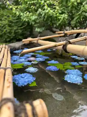 東本願寺本廟 牛久浄苑(牛久大仏)(茨城県)