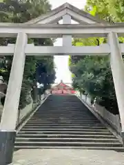 日枝神社の鳥居