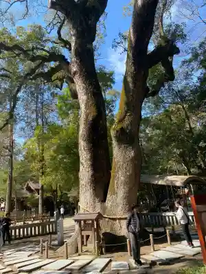 伊弉諾神宮の{uncategorized: "未分類", other: "その他", undefined: "問題あり", building: "その他建物", grave: "お墓", sacred_gate: "鳥居", guardian: "狛犬", statue: "像", buddha: "仏像", history: "歴史", nature: "自然", garden: "庭園", animal: "動物", pagoda: "塔", temizu: "手水舎", mountain_gate: "山門・神門", sanctuary: "本殿・本堂", subordinate: "末社・摂社", art: "芸術", scenery: "景色", jizo: "地蔵", ema: "絵馬", goshuin: "御朱印", omikuji: "おみくじ", items: "授与品その他", amulet: "お守り", goshuincho: "御朱印帳", eats: "食事", festival: "お祭り", votive_dance: "神楽", shichigosan: "七五三参", wedding: "結婚式", experience: "体験その他", initially: "初詣", around: "周辺", anti_infection: "感染症対策"}