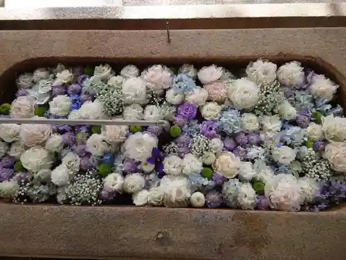 住吉大社の手水舎