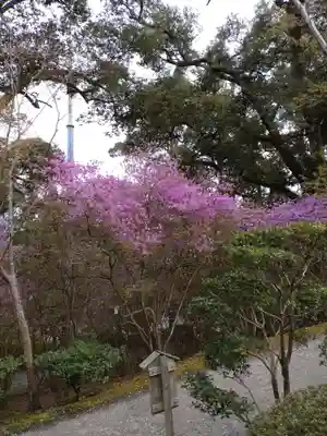 石山寺(滋賀県)