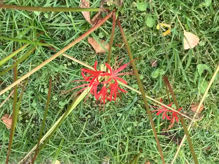 横浜 西方寺(神奈川県)