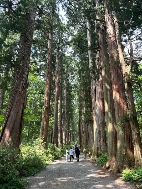 戸隠神社九頭龍社(長野県)