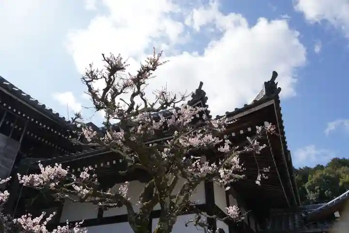 西教寺(滋賀県)