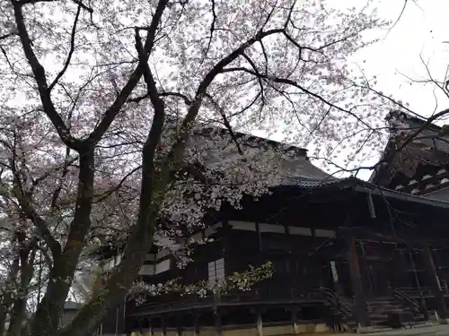 毫攝寺(福井県)