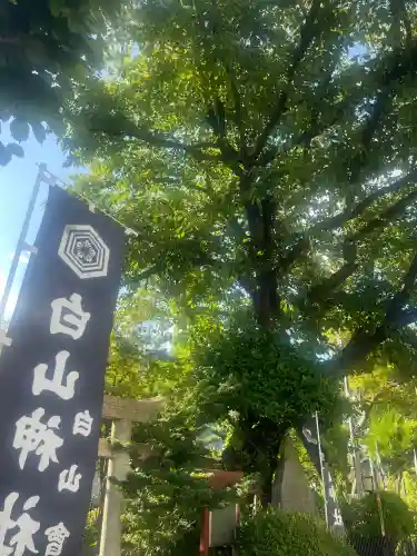 白山神社の{uncategorized: "未分類", other: "その他", undefined: "問題あり", building: "その他建物", grave: "お墓", sacred_gate: "鳥居", guardian: "狛犬", statue: "像", buddha: "仏像", history: "歴史", nature: "自然", garden: "庭園", animal: "動物", pagoda: "塔", temizu: "手水舎", mountain_gate: "山門・神門", sanctuary: "本殿・本堂", subordinate: "末社・摂社", art: "芸術", scenery: "景色", jizo: "地蔵", ema: "絵馬", goshuin: "御朱印", omikuji: "おみくじ", items: "授与品その他", amulet: "お守り", goshuincho: "御朱印帳", eats: "食事", festival: "お祭り", votive_dance: "神楽", shichigosan: "七五三参", wedding: "結婚式", experience: "体験その他", initially: "初詣", around: "周辺", anti_infection: "感染症対策"}