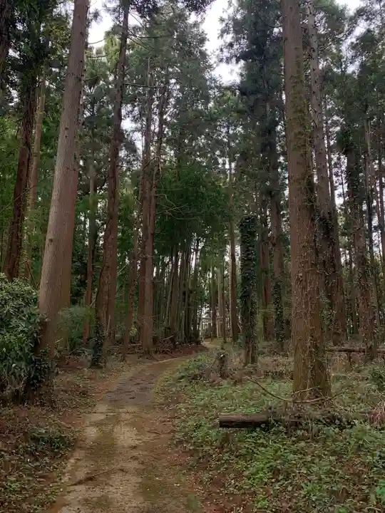 天満神社(千葉県)