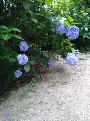 石内のお大師さん　金剛院(広島県)