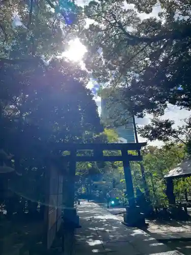 赤坂氷川神社(東京都)
