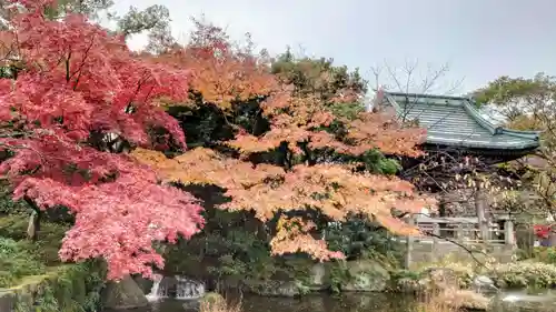 西新井大師総持寺の庭園