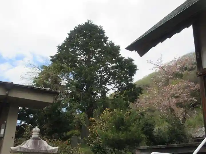 金崎神社(埼玉県)