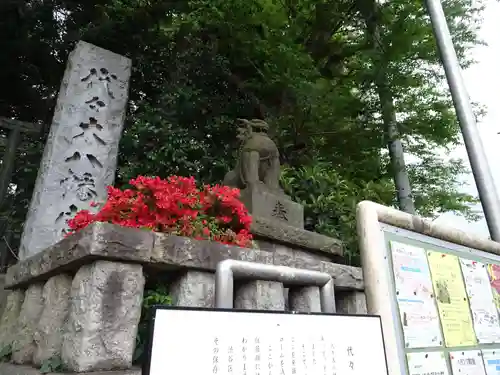 代々木八幡宮の狛犬