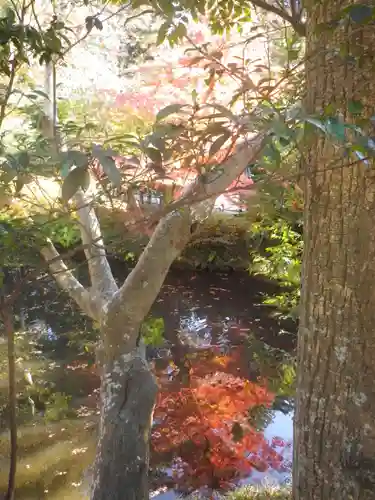 鶴岡八幡宮の自然