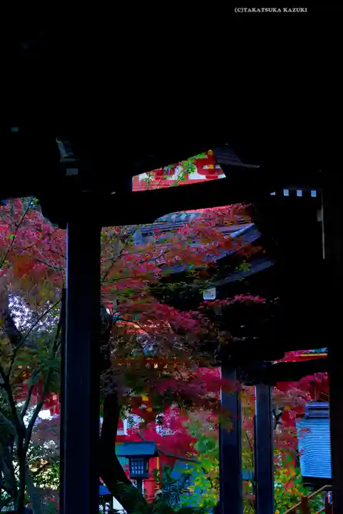 高幡不動尊 金剛寺(東京都)