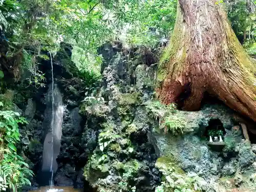 目の霊山　油山寺の自然