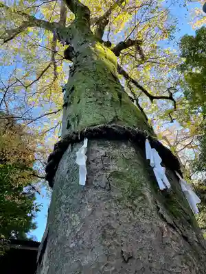 武蔵野八幡宮(東京都)