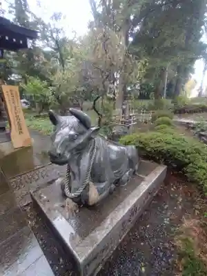 白岡八幡神社(埼玉県)