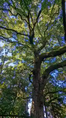 青蓮院門跡(京都府)