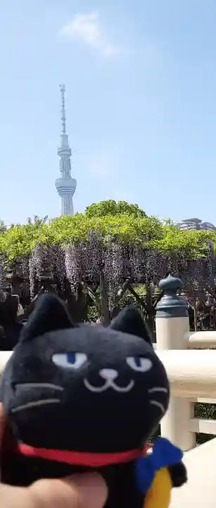 亀戸天神社(東京都)