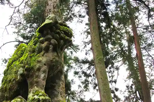大井神社(島根県)