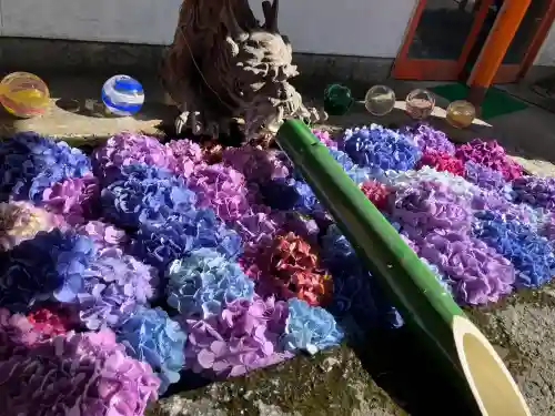 揖宿神社の御朱印