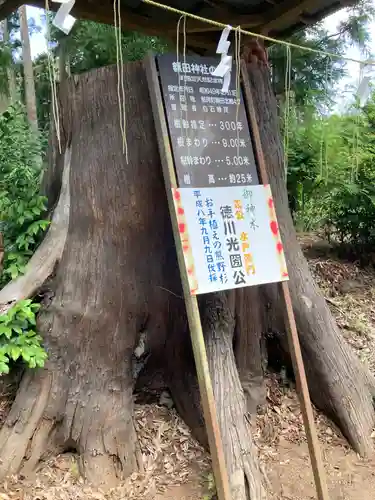 鹿島八幡神社(茨城県)