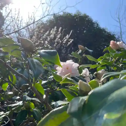 光則寺(神奈川県)