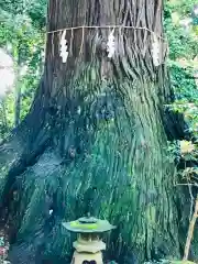 側高神社(千葉県)