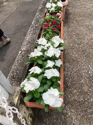 丸山寺(東京都)