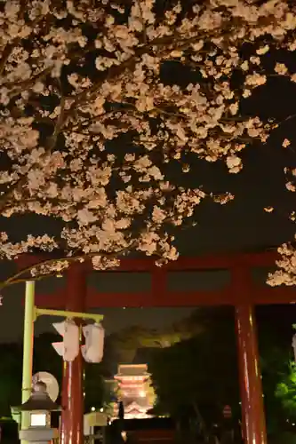 鶴岡八幡宮(神奈川県)